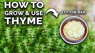 Thyme How to Grow & Use This Amazing Herb COMPLETE GUIDE
