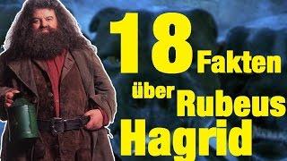 18 FAKTEN über Rubeus HAGRID