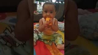 Makan mangga #mangga #shortvideo