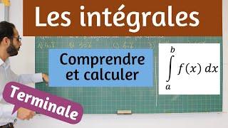 Les intégrales