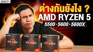 3 ทหารเสือค่ายแดง AMD Ryzen 5 5500  5600  5600X ต่างกันยังไง ?  iHAVECPU