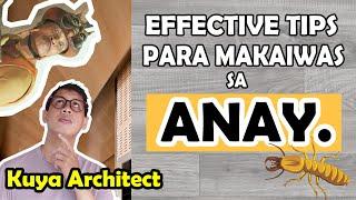 PAANO UMIWAS SA ANAY ? TERMITE PREVENTION TIPS FOR OUR HOMES by Kuya Architect