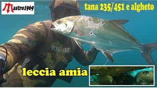 pesca in apnea barracuda leccia e saraghi spearfishing air skiff kaboat