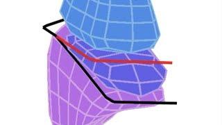 Lung Lobes & Fissures - Simple 3D Anatomy