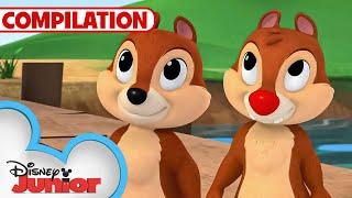 Adventures with Chip N Dale ️  Nutty Tales  Shake Your Tail  1 Hour Compilation @disneyjunior