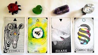  HOW ARE THEY FEELING ABOUT YOU RIGHT NOW??  Detailed PICK A CARD Timeless Love Tarot Reading