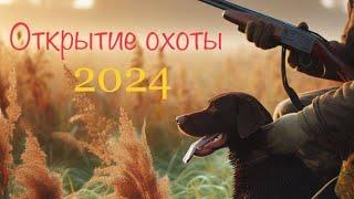 ОТКРЫТИЕ ОХОТЫ 2024.СКОРО НА КАНАЛЕЛУЧШИЕ ВЫСТРЕЛЫ ПО УТКЕ ПРОШЛОГО СЕЗОНА