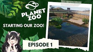 Starting Our Franchise Zoo in Planet Zoo  #planetzoo  Episode 1