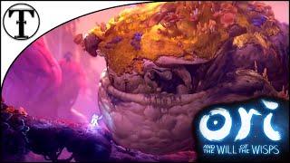 Killing a Giant Toad  Ori and the Will of the Wisps EP 16