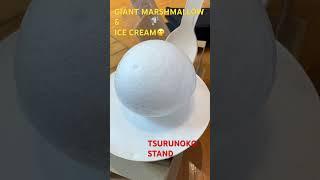 TSURUNOKO STAND #marsmallow ice cream ..