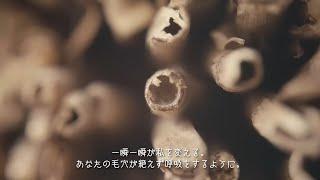 日本語字幕付 OZORA Festival 2022 Official Video  -Japanese subtitled-