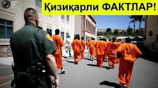 Сиз эшитмаган энг Қизиқарли ФАКТЛАР Албатта кўринг