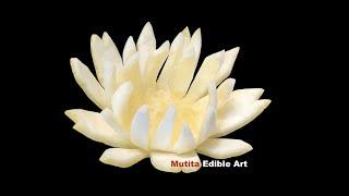 Lemon Wild Flower Garnish  Beginners Lesson 299  Mutita Art Of Fruit & Vegetable Carving