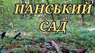 ПОШУК ПАНСЬКОГО САДУ в СТАРОМУ ЛІСІ▪️КОП 2024 УКРАЇНА▪️КОП В ЛІСІ▪️ПОЗИЦІЇ ПО 2 СВІТОВІЙ ВІЙНІ▪️WW2