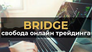 BRIDGE свобода онлайн трейдинга  BridgeCoin обзор  review