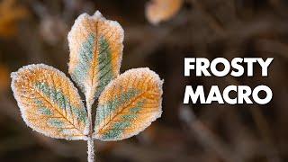 Frosty Macro Photography Photo Walk
