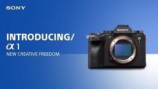 Introducing the Sony α1