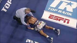 Berchelt vs Valdez - KO Of The Year