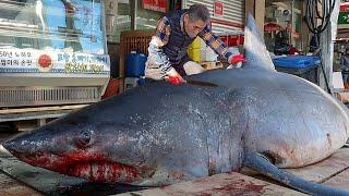 그물에 바위가 걸린줄 알았는데 식인상어? 3.4미터 초대형 상어 해체작업 Giant SHARK Cutting skill  Korean street food