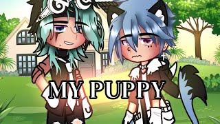 My Puppy  GCMM • BLGay ️‍