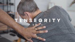 Chiropractic Approach to Scapular Dysfunction and Pain - Tensegrity Series Ep. 1 w Dr. Brett Jones