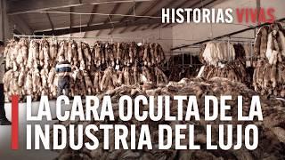 ¿Qué se esconde detrás de la ropa de lujo? La cara oculta de las mejores marcas  HD Documental