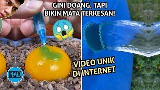 Coba Nonton Ini Biar Pikiran Rileks Inilah Video Unik yang Mungkin Bisa Mengesankan Mata