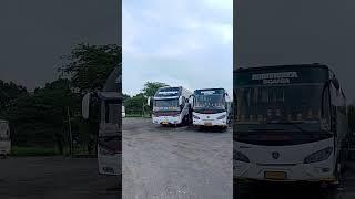 PENARI TRANS JAWA ‼️ BIS SUMBER ALAM BODRONOYO BOGOR YOGYAKARTA  #SHORTS 592