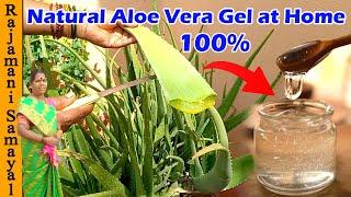 கற்றாழை ஜெல் How to Make pure organic Homemade Aloevera Gel  for Thick Hair Growth & Spotless Skin