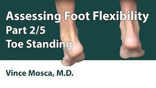 Assessing Foot Flexibility Part 02 Toe Standing