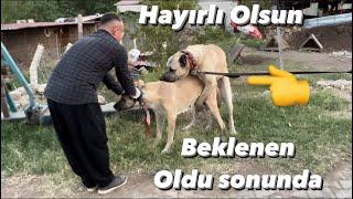 Şükürler Olsun En Sonunda Yaman Ve Mercanın Çocukları Olacak