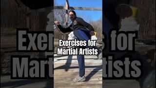 A Few Exercises for Martial Artists #martialarts #pencaksilat #kungfu