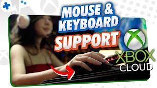 XBOX Cloud Gaming OFFICIAL Mouse & Keyboard Support