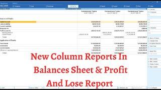 New Column Reports In  Balances Sheet & Profit And Lose Report