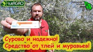 КОПЕЕЧНОЕ АПТЕЧНОЕ СРЕДСТВО ИЗГОНИТ МУРАВЬЕВ ОТКУДА НАДО Забудете про тлей и муравьев НАДОЛГО