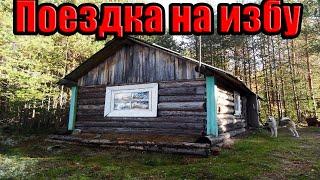  ПОЕЗДКА В ЛЕС НА ИЗБУ РЫБАЛКА ОСЕНЬ 2019