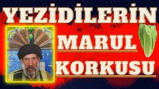 Ezidiler maruldan neden korkuyor