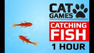CAT GAMES -  CATCHING FISH 1 HOUR VERSION VIDEOS FOR CATS TO WATCH