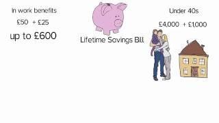 Simple Politics guide to The Lifetime Savings Bill