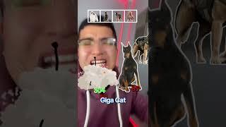 MI PERRO LE GANA  #shorts #viralvideo