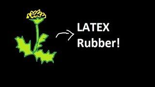 Latex Rubber From Dandelions