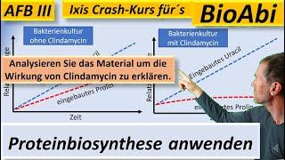 Proteinbiosynthese – Anwendungsaufgaben 1a – AFB III - Bestnoten im BioAbi mit BioIxi