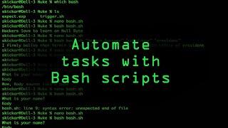 Write Your Own Bash Scripts for Automation Tutorial