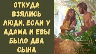 Откуда взялись люди на Земле если у Адама и Евы было два сына