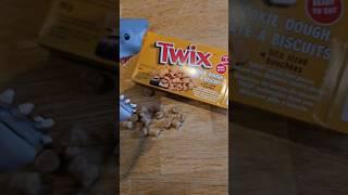 Hungry Hand eats Twix Cookie Dough Bites