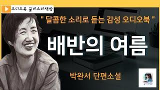 오디오북 배반의 여름  박완서 한국 단편소설꿀비소리책방