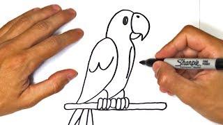 How to draw a Parrot for kids  Parrot Easy Draw Tutorial