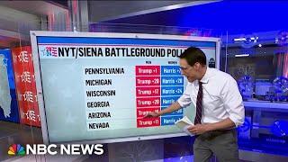 Steve Kornacki 2024 polls show a significant gender gap