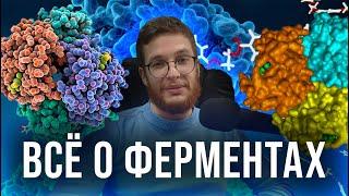 Всё об энзимах  Ферменты для растений  #growshop #enzymes #ситиферма