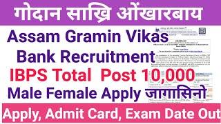 Assam Gramin BankIBPS 10000 Vacancy Out हौवा हिनजावफोर Apply खालाम IBPS Recruitment 2024